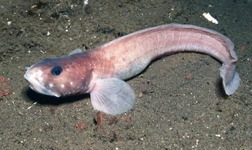 What Almost Stopped Me