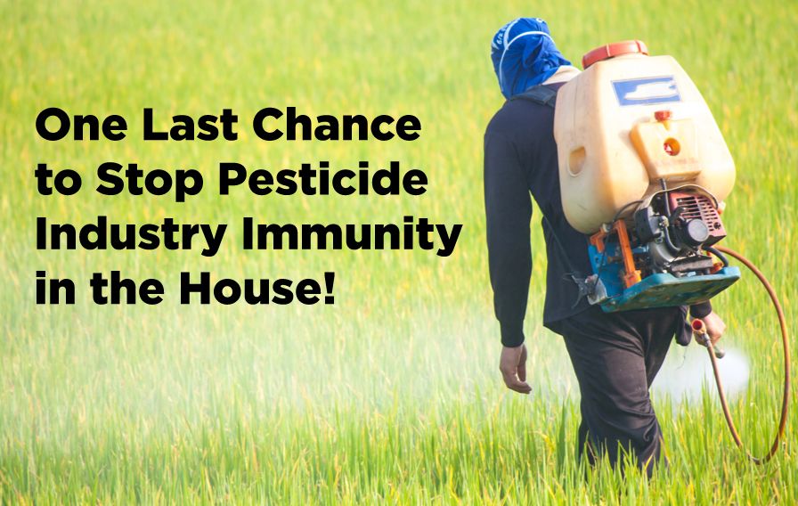 URGENT: One Last Chance to Stop Pesticide Industry Immunity in the House!