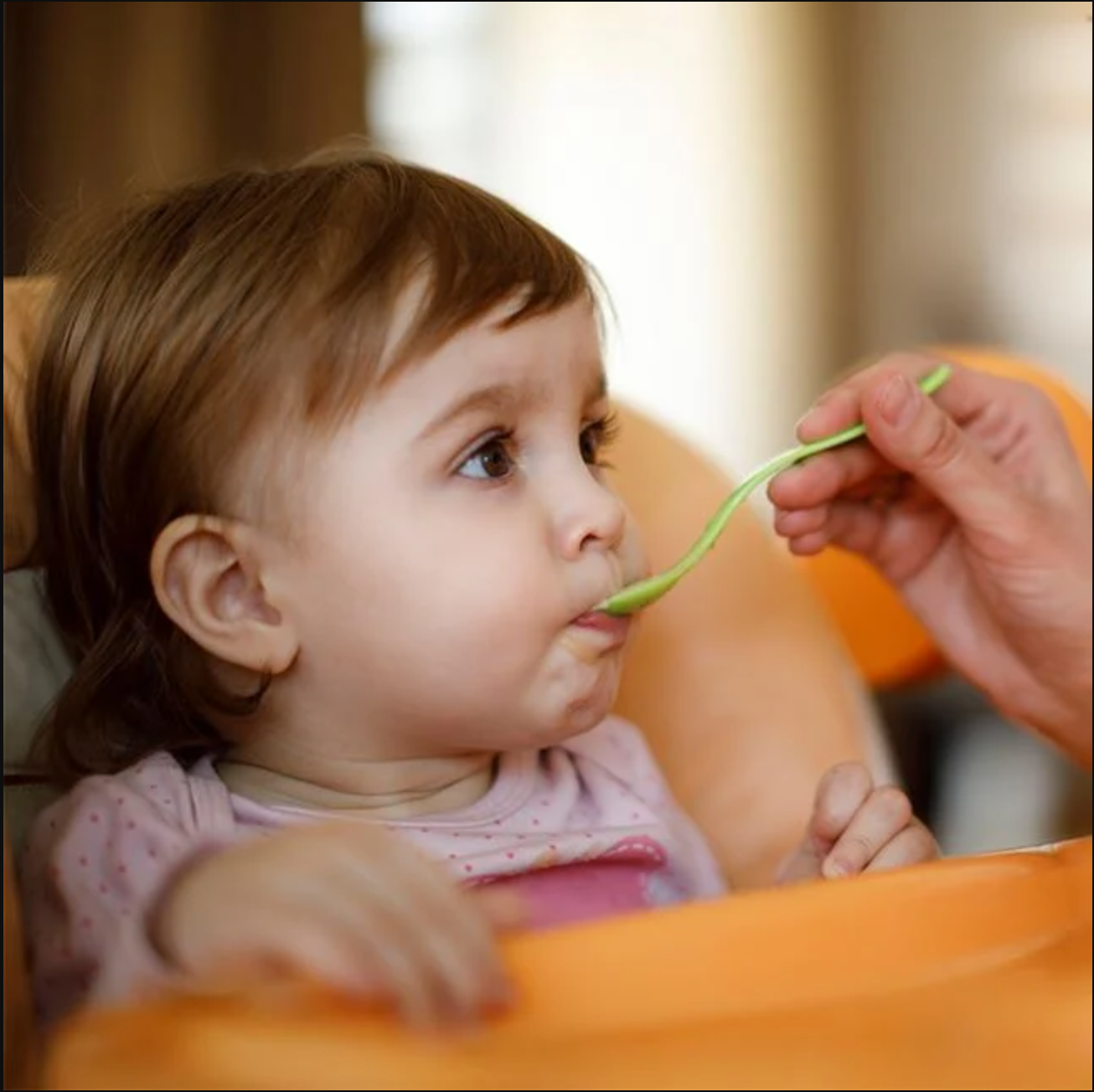 Experts Discuss Baby Food Heavy Metals Link to Autism at Jan. 31 Hearing