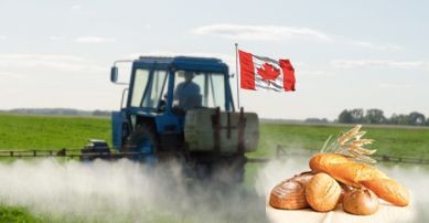 Big Ag Pressures Canada to Raise Allowable Glyphosate Levels on Food During Health Crisis