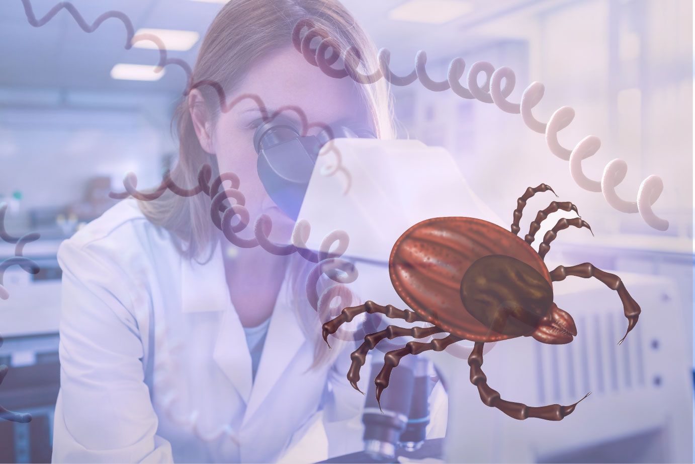 Is Lyme a Bioweapon?