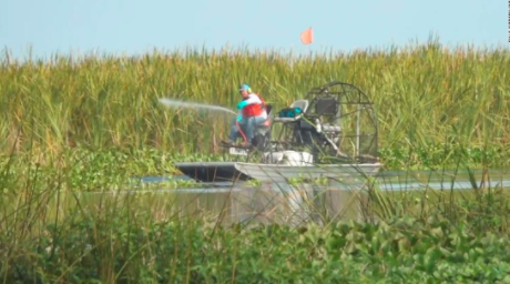 EPA Releases Evaluation of Glyphosate Herbicide Impact on Endangered Species....and It's Not Good