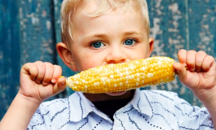 USDA Says, "Not Our Job!" To Regulating GMOS