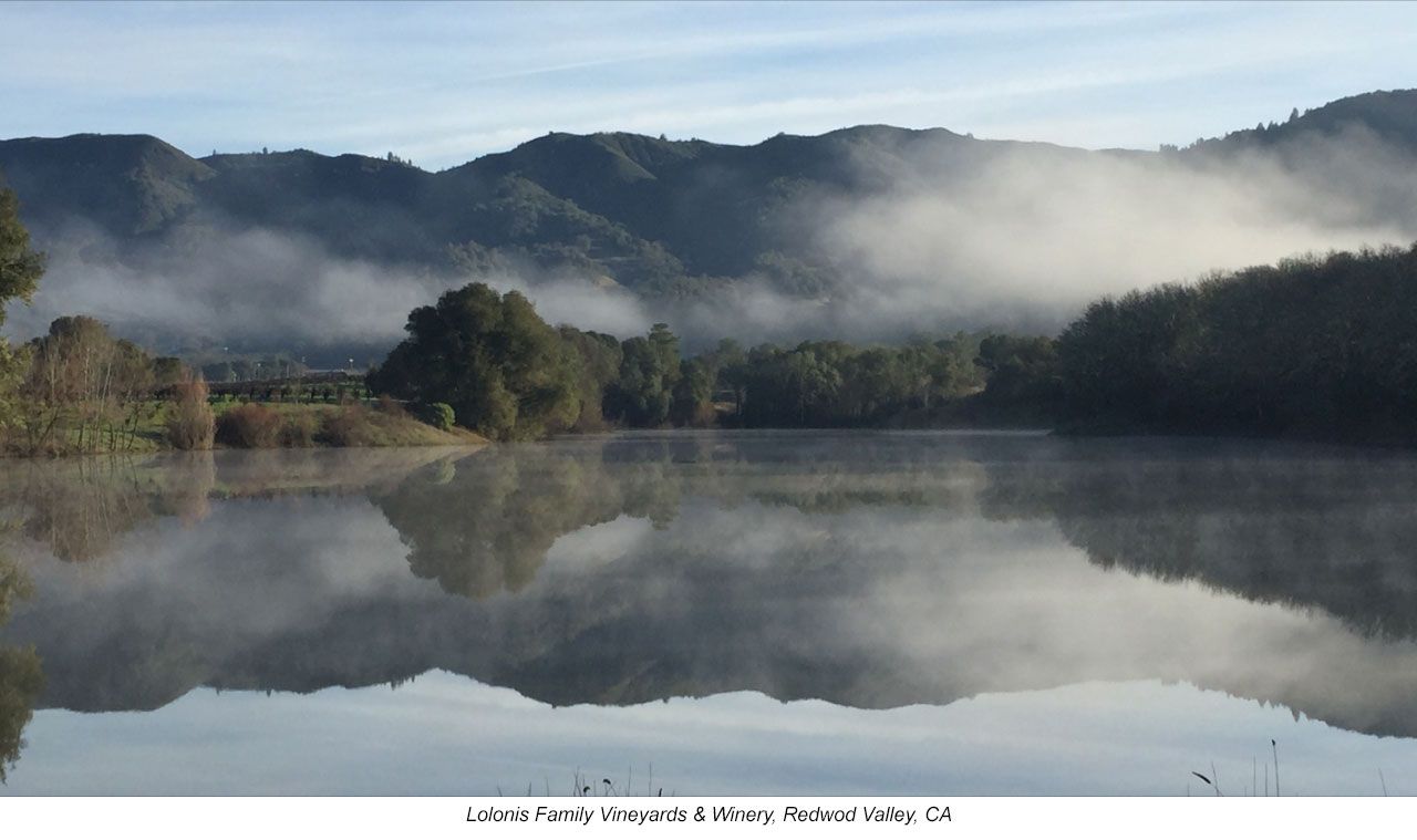 Testing Reveals No Glyphosate Found in Wines from Two CA Organic Vineyards