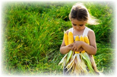 Mexico Confirms Glyphosate Ban Date as Environmental Groups Slam U.S. Govt Interference