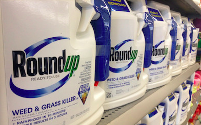 New Study Shows Glyphosate Harms Next Generation