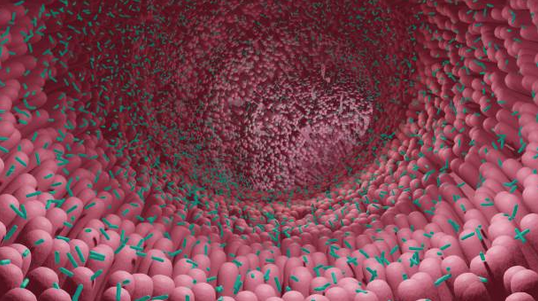 Dr. William Davis: Reclaiming Lost Microbes and Youthfulness