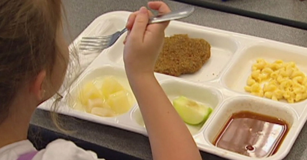 What Can We Do About Toxic School Lunches?