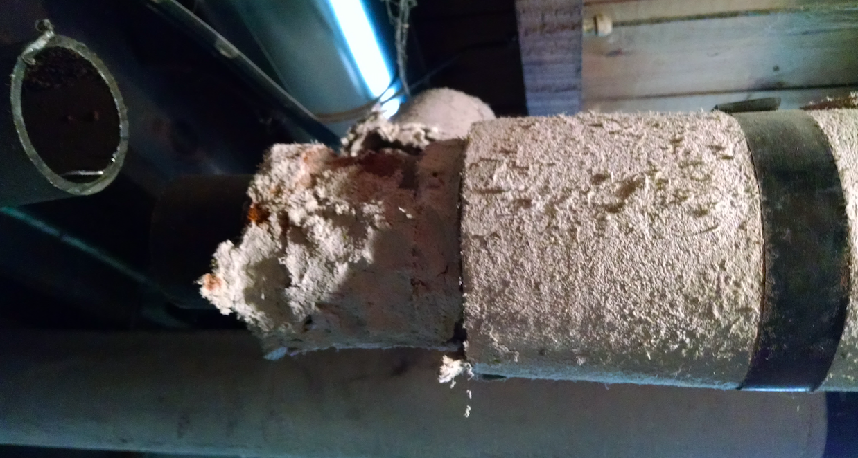 Hidden Toxins in the Home