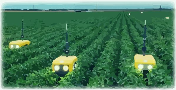Chipotle Invests in Chemical Free Weed Management Robotics!