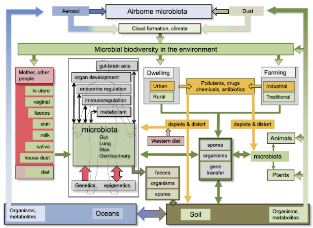 Invest in Yourself/Your Health -- National Nutrition Month