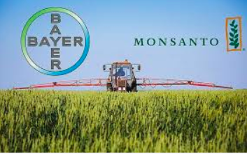 Monsanto Loses 1st Phase of Second Trial