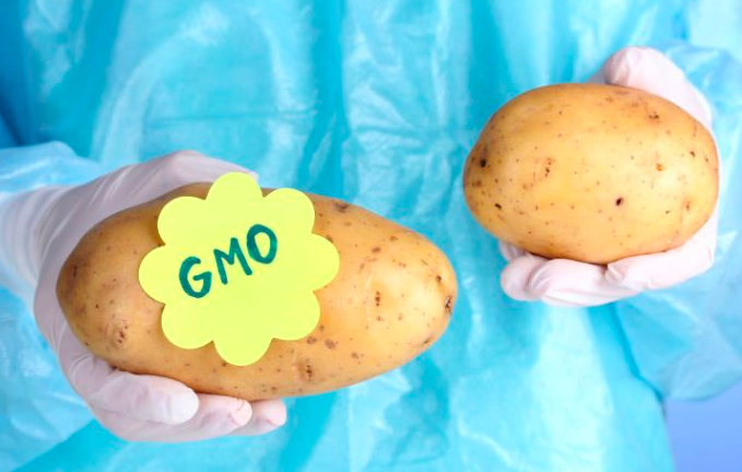 GMO and Glyphosate News Oct