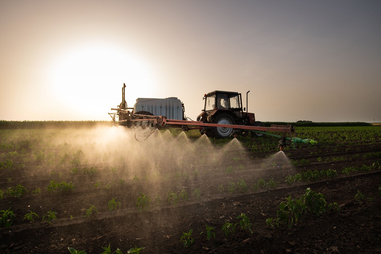 100% of Top Twenty Fast Food Brands Positive for Glyphosate Herbicide 76% Positive for Harmful Pesticides