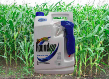 Open Letter to Citizens and Organizations for Glyphosate Ban
