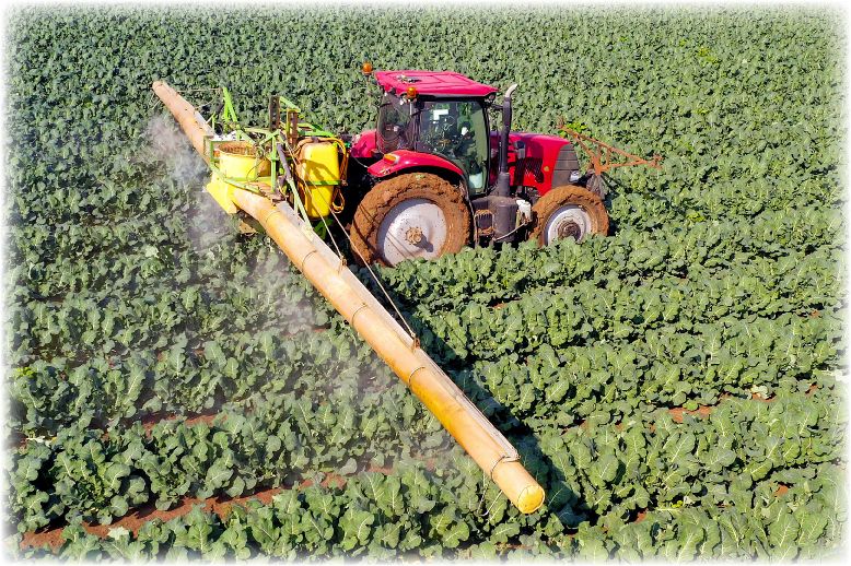 Million Dollar Crop Loss, Rapid Aging, Obesity, Diabetes, and Brain Damage: The Tale of Three Studies on Glyphosate