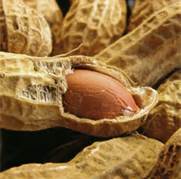 Rise of Allergies in the National News: But What is the REAL News?