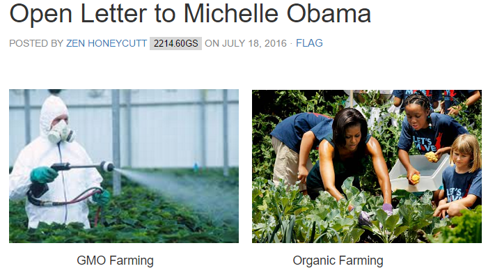 Open Letter to Michelle Obama