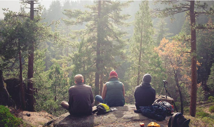 US EPA Glyphosate, Atrazine, and Simazine Regulation Process Advances