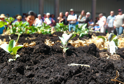 The New Heroes of Our Time