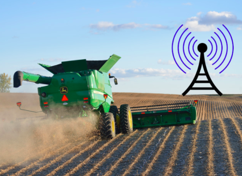 Three Ways Our Government is Harming Us During the Pandemic