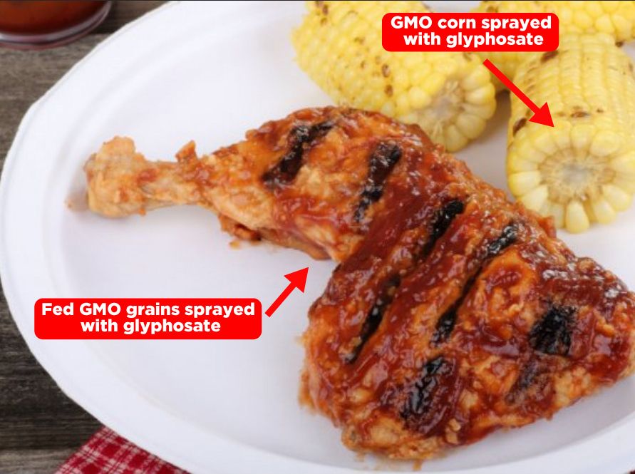 A Story of Cancer and Food