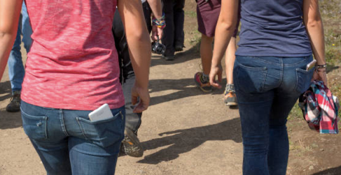 Alarming Studies Connect Cell Phone Use to Bone Density Loss and Impaired Healing