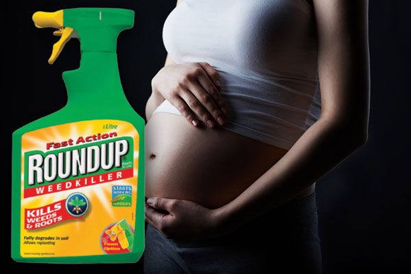 Glyphosate Exposure During Pregnancy Raises Child’s Risk of Poor Brain Function