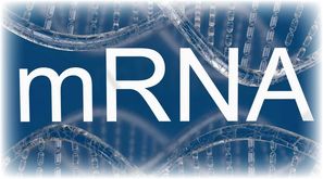 MRNA Vaccines in the Food Supply: What You Can do Now