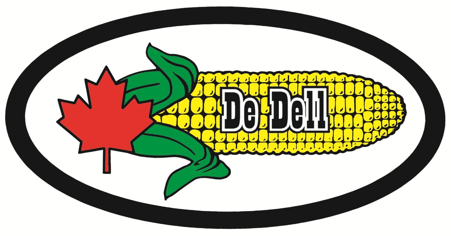 Stunning Corn Comparison: GMO vs. NON-GMO