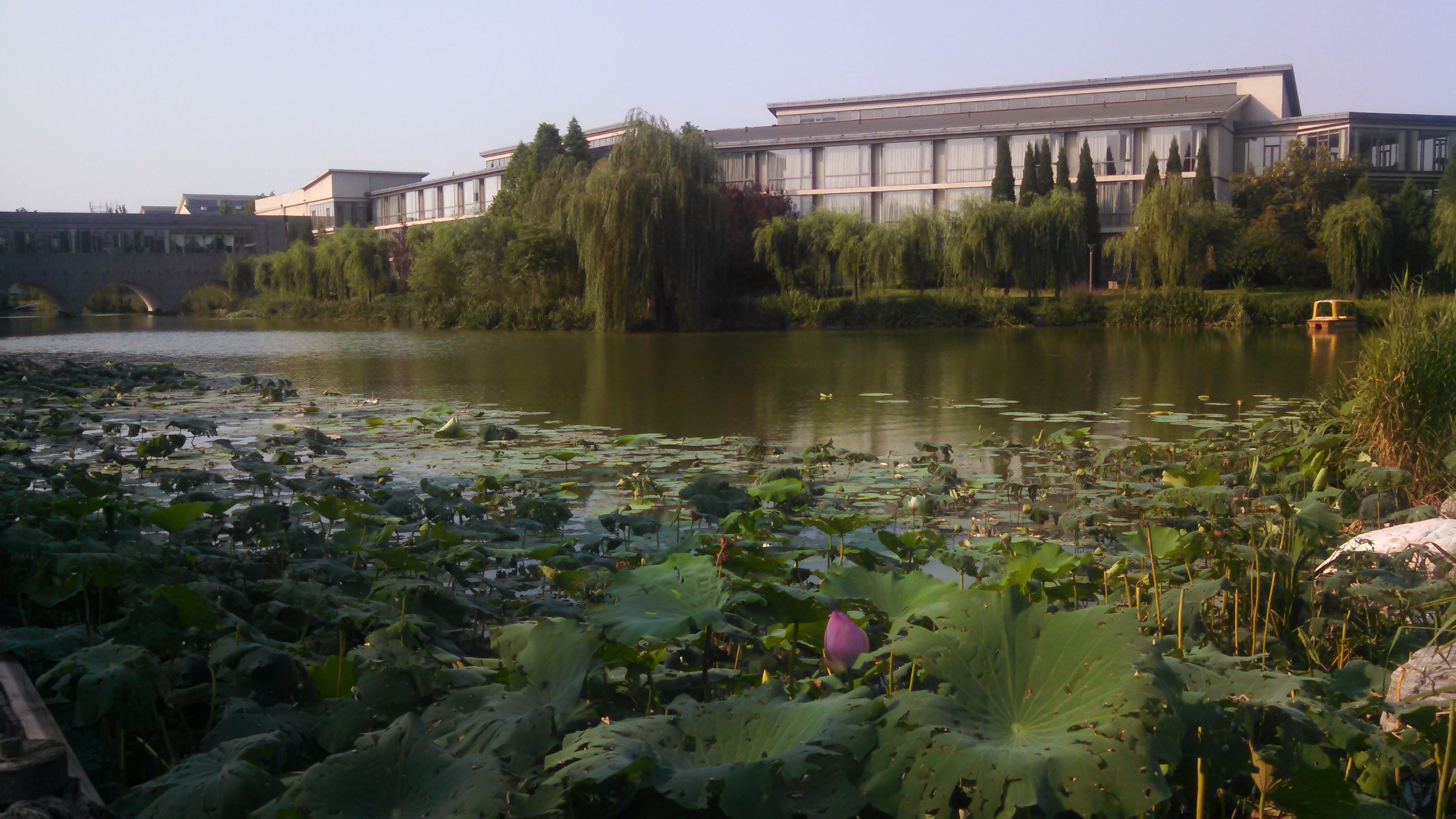 Moms Heard at International GMO Conference in China