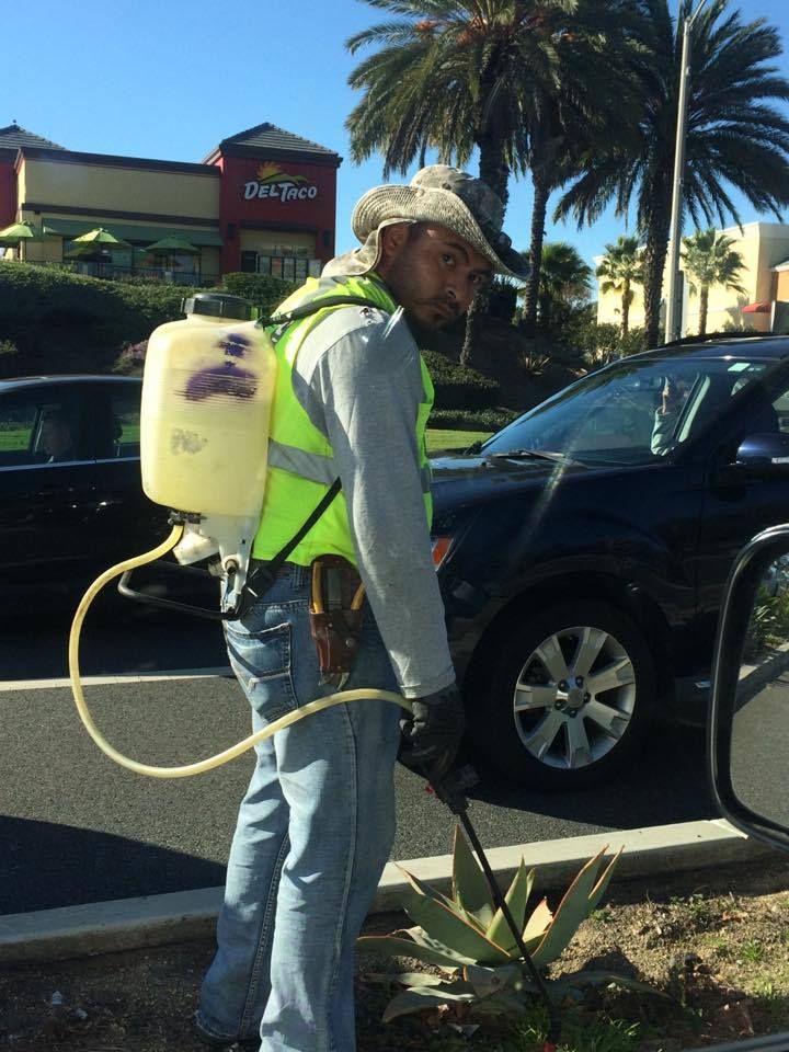 Open Letter to Medical Doctors and Liver Disease Organizations