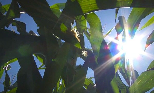 Big News from Across the Pond