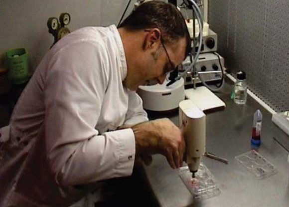 The Latest REALLY Bad Ideas from the Food Industry