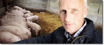 How Do Glyphosate Based Herbicides Contaminate Crops?