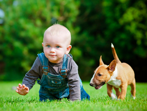 Non-Toxic Nextdoor Outreach