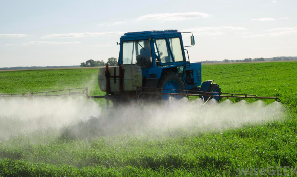 Glyphosate Test Results