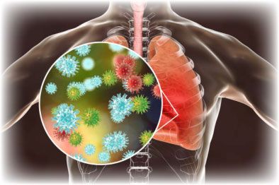 The Virus and the Host