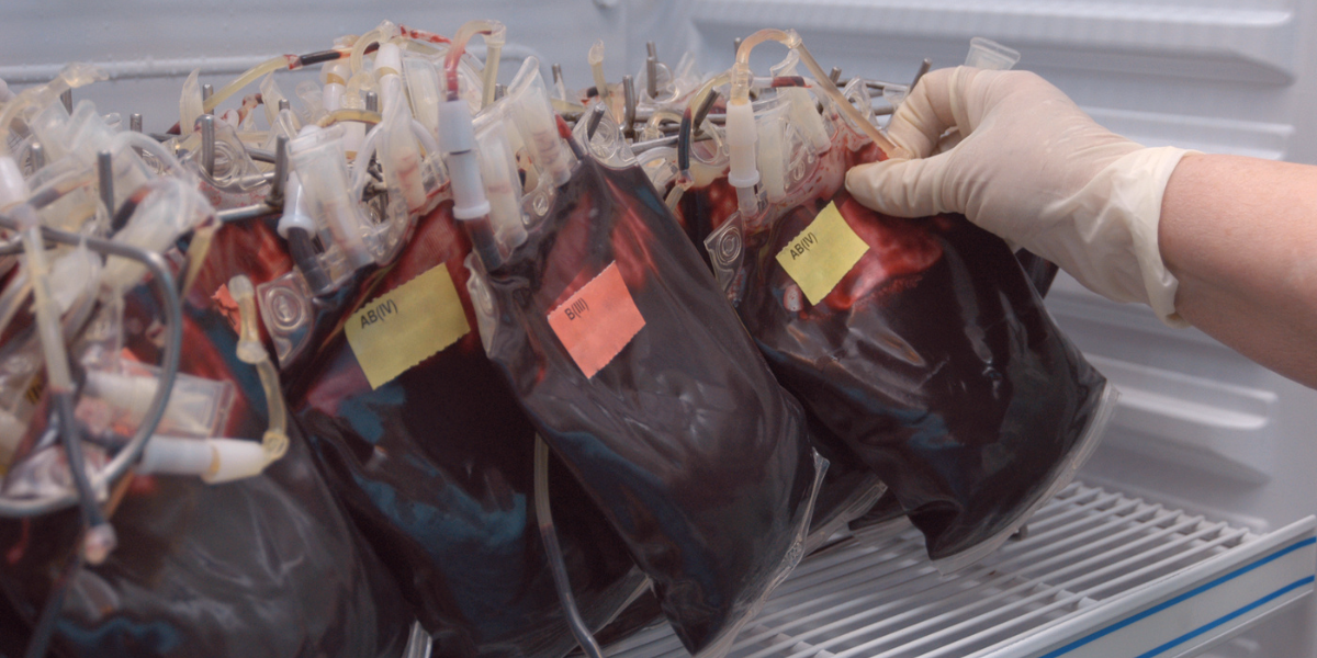 Is Receiving Tainted Blood From COVID-19 Vaccination or Infection an Irrational Fear?