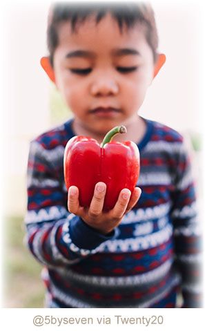 Our Family's Quest for True Health