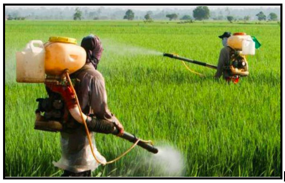 Human Rights Violations Document Submitted to Monsanto