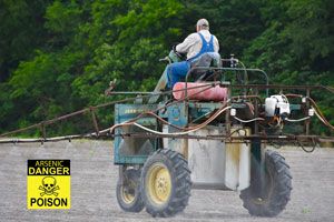 New Study On Synergistic Effects of Common Food Contaminants