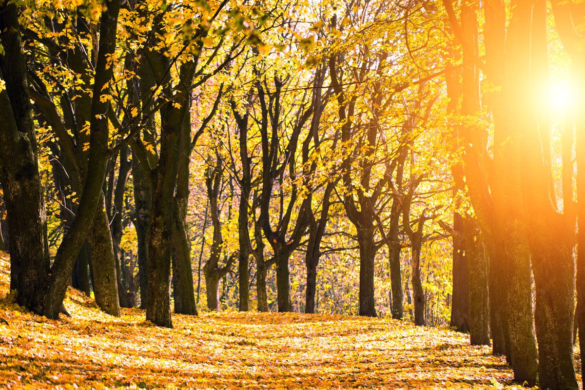 September Letter from The Director - Loss and Wins