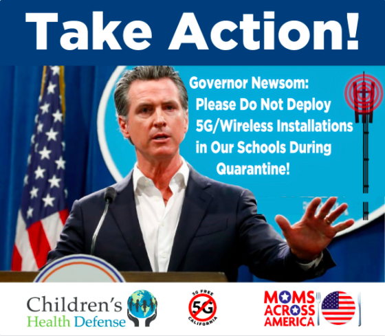Call to Action! Protect our Children in Schools!
