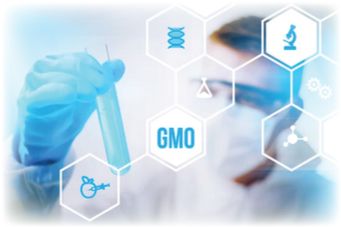 Gene-Edited GMOs: The Answer to Superweeds Or A Covert Tactic To Avoid Regulation?