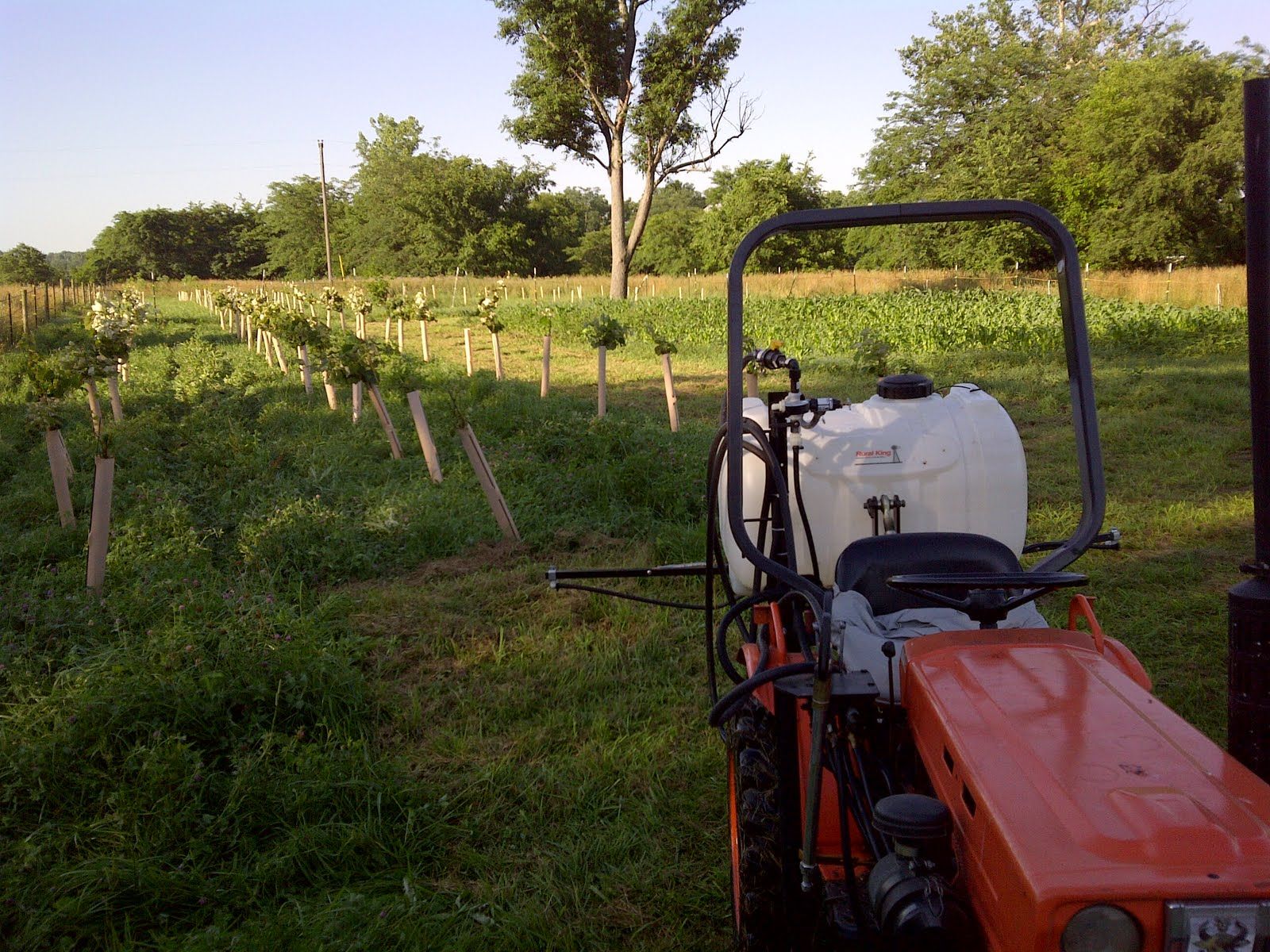 Glyphosate in Napa Valley Groundwater