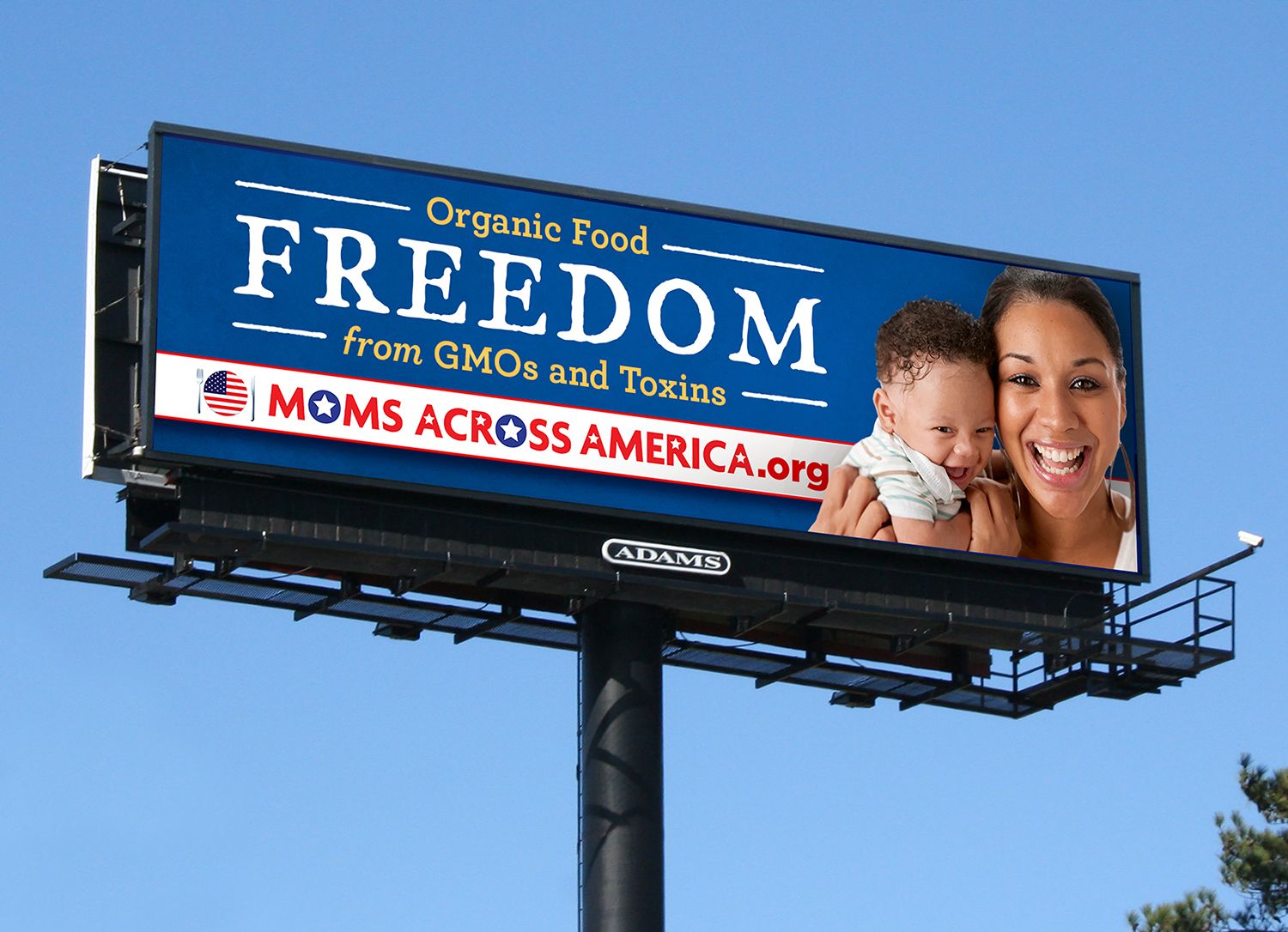 Freedom from GMOs and Toxins Billboard Blitz