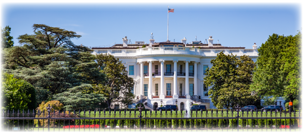 Kicking Corruption to The Curb