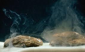 Mom Receives Glyphosate Task Force Studies on Glyphosate Submitted to the EPA