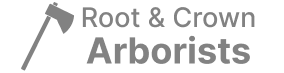 arborist logo